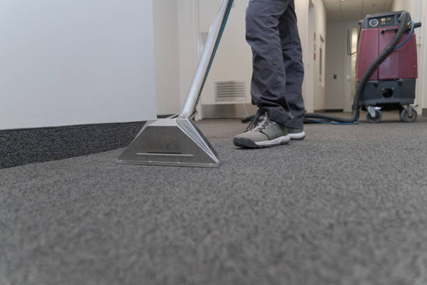 Best & Professional technician performing steam cleaning on a house carpet.