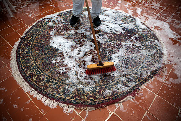 A cleaner cleaning a carpet with soap-water on a floor.