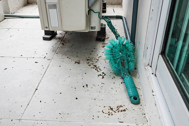 A cleaner perform End of lease cleaning with green cleaning brush.