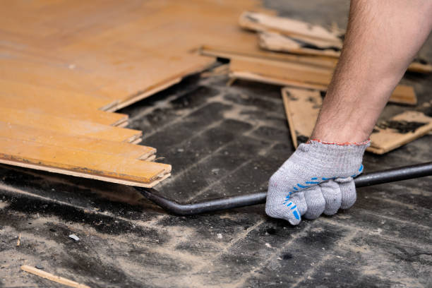 Providing expert services in stripping and sealing floors.