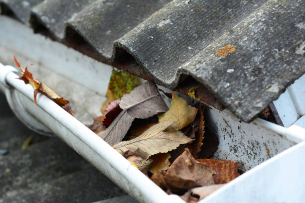 Roof gutter clogged with leaves Gutter Cleaning Services in Parramatta, Professional Gutter Cleaning Services