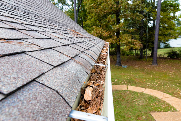 Leave and pine straw filling gutters on home.