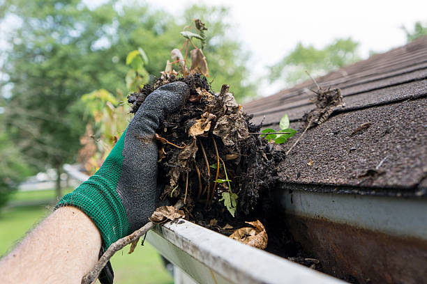 A cleaner delivers gutter cleaning services with cleaning tools.