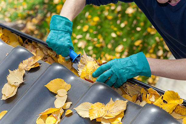 Discover Best Gutter Cleaning Services in sydney