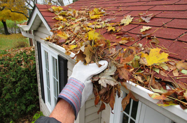 some one cleaning leaves from a roof top gutter