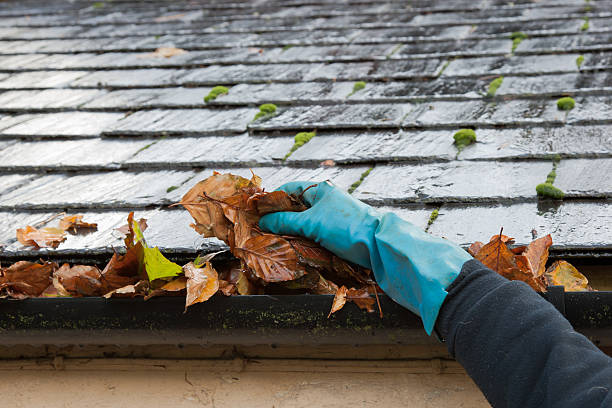 Clearing autumn gutter blocked with leaves by hand.