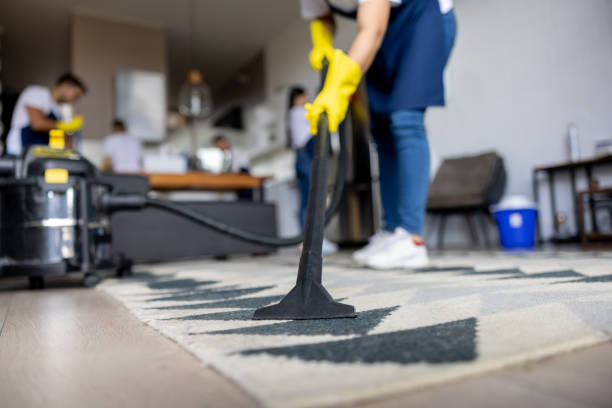 cleaner perform carpet cleaning task