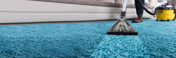 Carpet cleaning services