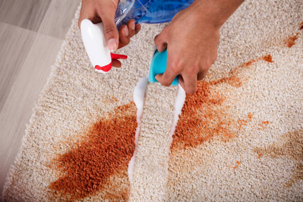 explore best carpet cleaning services with cleaning tool.