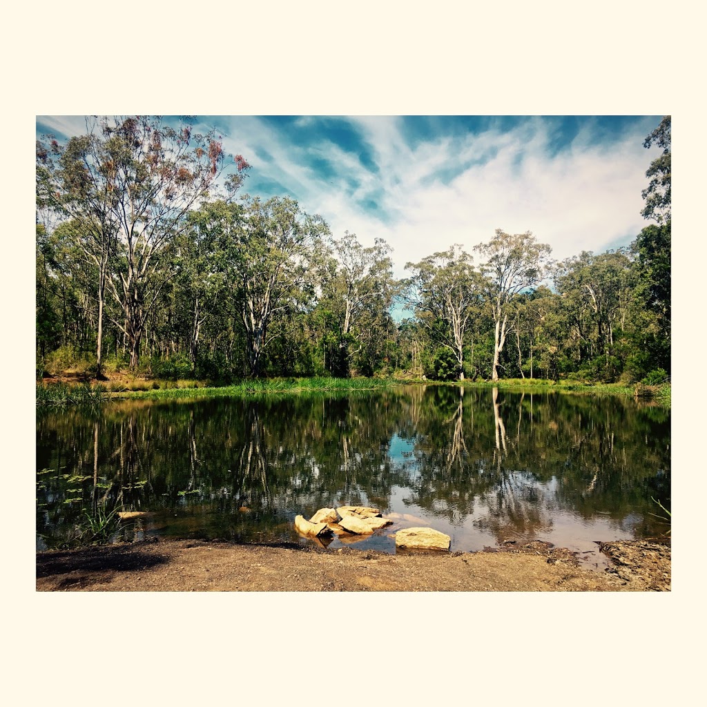 cleaning Services Sydney