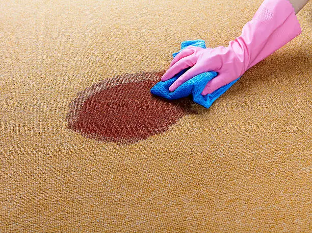 Rug Steam Cleaning Services in Sydney by Westlink Cleaning