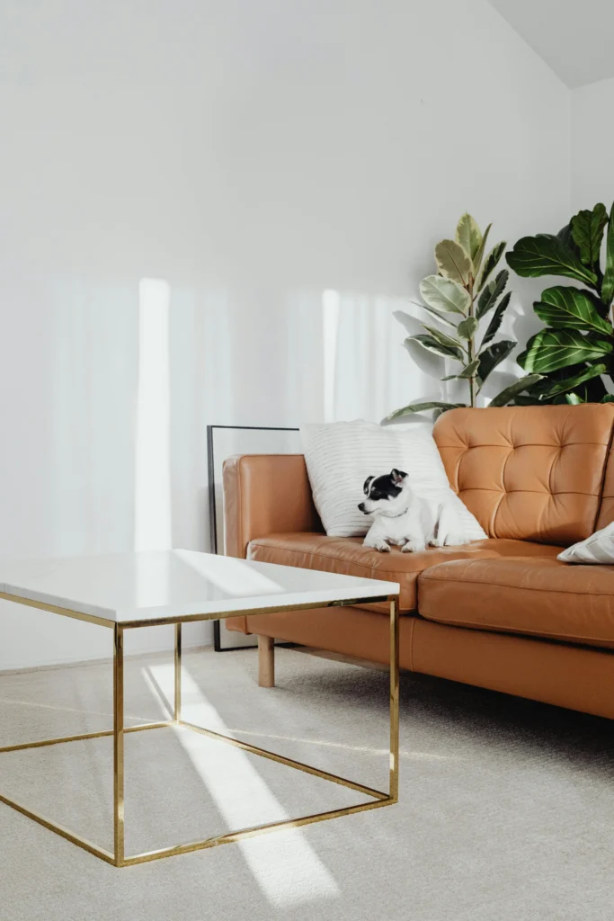 Couch/sofa steam Cleaning Services in Sydney