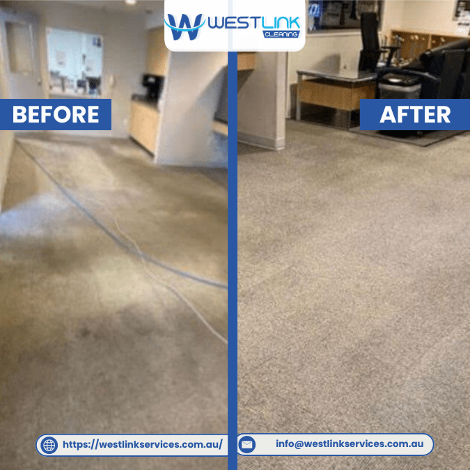House Carpet Cleaning Before and After