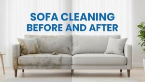 Sofa Cleaning Before and After
