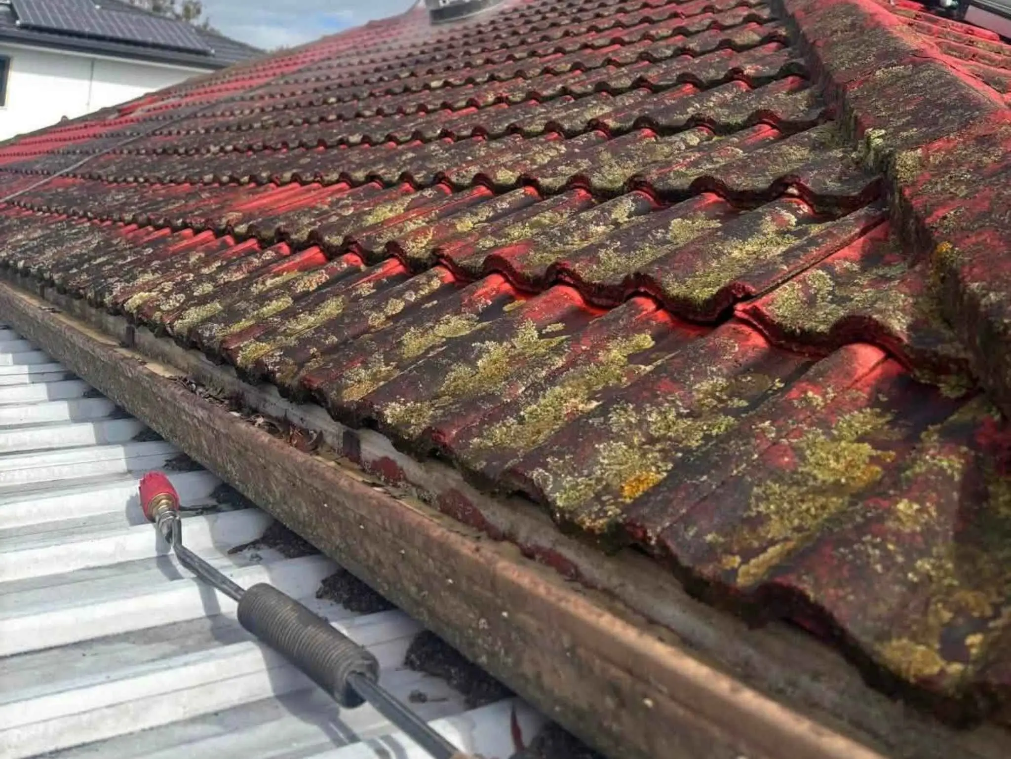 Before cleaning Roof image, Professional cleaners arrive, Westlink cleaning services, Roof cleaning Sydney Inner City