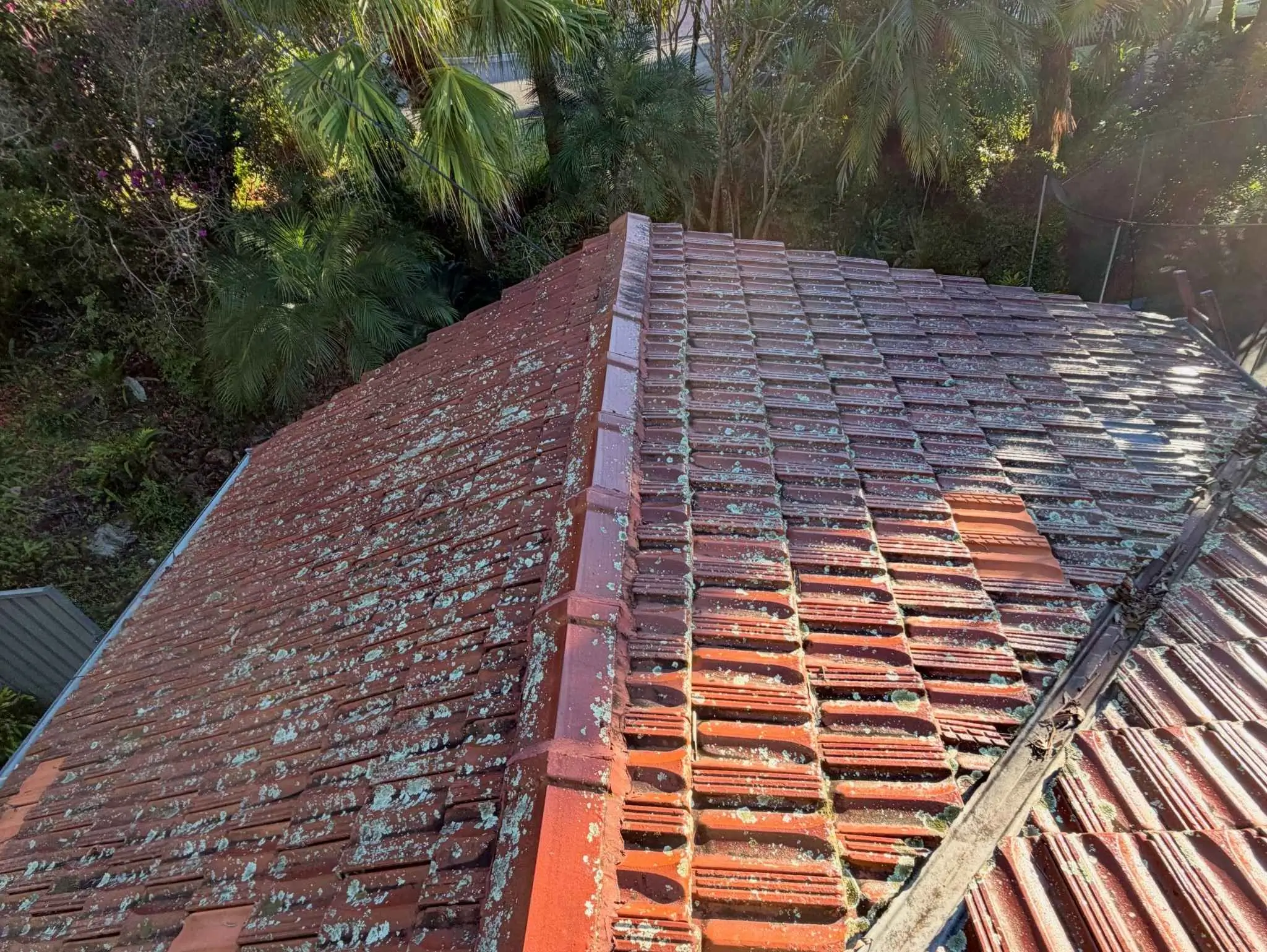 Roof Cleaning Bankstown, NSW After 10 + years Westlink cleaning Services on his busy Duty, Trusted Sydney Roof cleaners