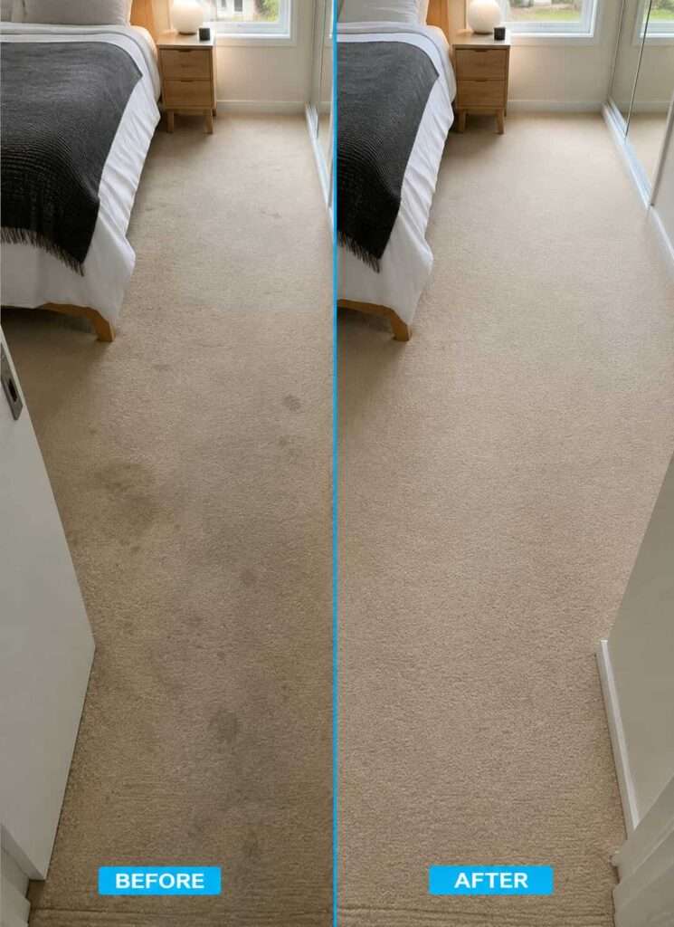 Carpet cleaning cremorne before and after images