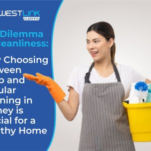 Find the best fit for you: deep clean or regular clean