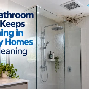 bathroom cleaning