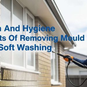 Health And Hygiene Benefits Of Removing Mould With Soft Washing