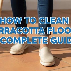 Professional terracotta floor cleaning guide