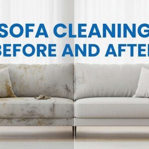 Sofa Cleaning Before and After