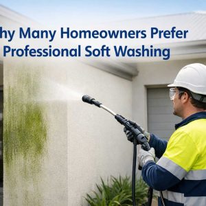 Why Many Homeowners Prefer Professional Soft Washing